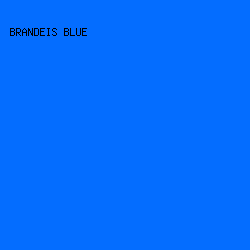 046dff - Brandeis Blue color image preview