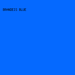 0569FF - Brandeis Blue color image preview