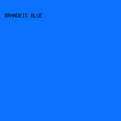 0B72FF - Brandeis Blue color image preview