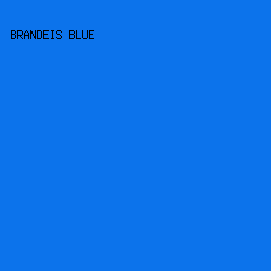 0C73EB - Brandeis Blue color image preview