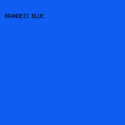 105df1 - Brandeis Blue color image preview