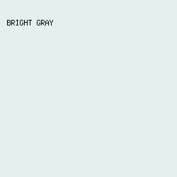 e4f0ef - Bright Gray color image preview