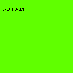 60FF00 - Bright Green color image preview