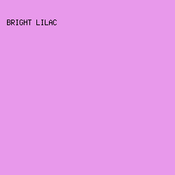 e899eb - Bright Lilac color image preview
