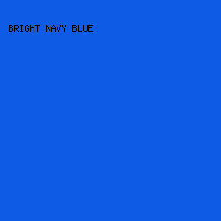 0E5CE6 - Bright Navy Blue color image preview
