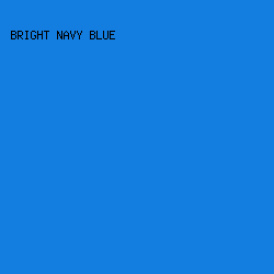 137DE0 - Bright Navy Blue color image preview