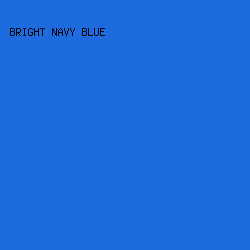 1D6BDE - Bright Navy Blue color image preview