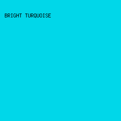 00D7E9 - Bright Turquoise color image preview