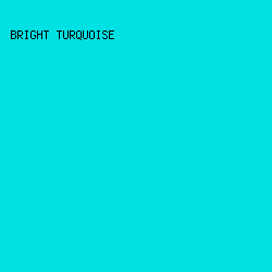 00E1E4 - Bright Turquoise color image preview