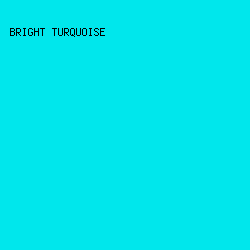 00E7EC - Bright Turquoise color image preview