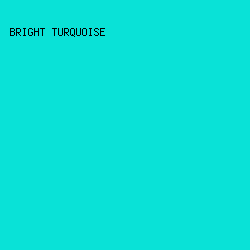 09E2D7 - Bright Turquoise color image preview