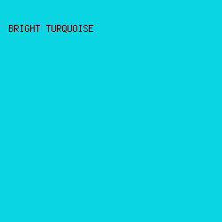 0AD5E2 - Bright Turquoise color image preview