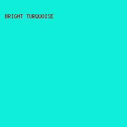 0FEED9 - Bright Turquoise color image preview