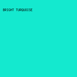 14E9CF - Bright Turquoise color image preview