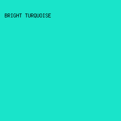 19E4CA - Bright Turquoise color image preview