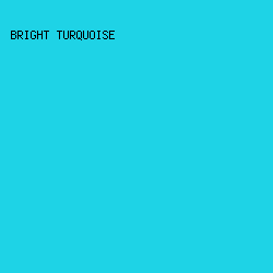1ED3E6 - Bright Turquoise color image preview