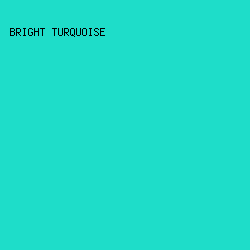 1EDDC9 - Bright Turquoise color image preview