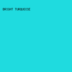 1FDBDF - Bright Turquoise color image preview