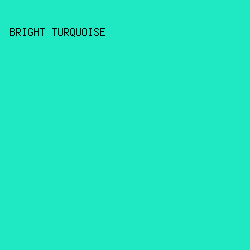 1fe9c3 - Bright Turquoise color image preview