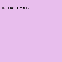 E8BEED - Brilliant Lavender color image preview