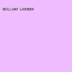 EDBDFF - Brilliant Lavender color image preview