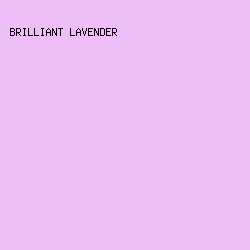 EEBFF6 - Brilliant Lavender color image preview