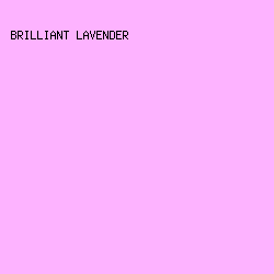 FDB3FF - Brilliant Lavender color image preview