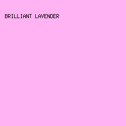 FFB3F2 - Brilliant Lavender color image preview