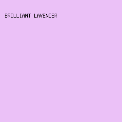ebc1f7 - Brilliant Lavender color image preview
