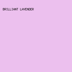 ecc0ee - Brilliant Lavender color image preview