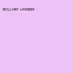 edc2f7 - Brilliant Lavender color image preview