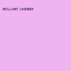 eeb3f0 - Brilliant Lavender color image preview