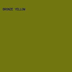71760E - Bronze Yellow color image preview