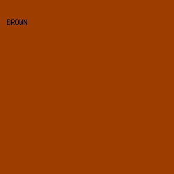 9D3E00 - Brown color image preview
