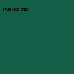 135e46 - Brunswick Green color image preview