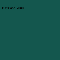 14574E - Brunswick Green color image preview