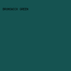 155351 - Brunswick Green color image preview