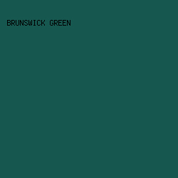 165850 - Brunswick Green color image preview