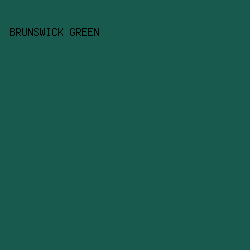 185A4D - Brunswick Green color image preview
