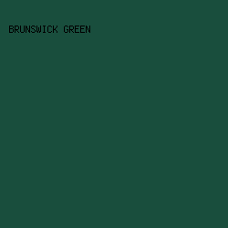 194e3d - Brunswick Green color image preview