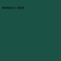 1B5246 - Brunswick Green color image preview