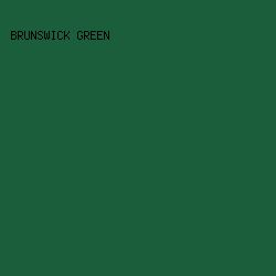 1B5E3B - Brunswick Green color image preview