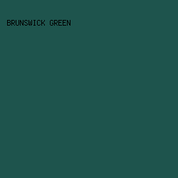 1E544D - Brunswick Green color image preview