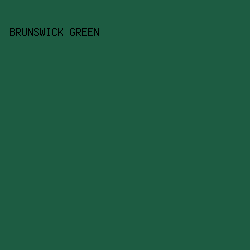 1d5c42 - Brunswick Green color image preview
