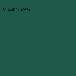 1f5948 - Brunswick Green color image preview