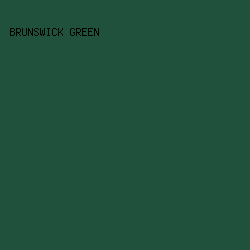 20513C - Brunswick Green color image preview