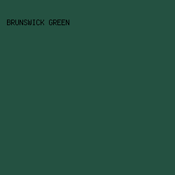 245141 - Brunswick Green color image preview