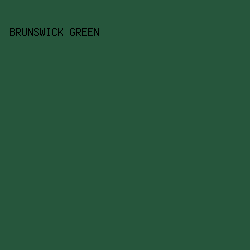26563C - Brunswick Green color image preview
