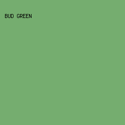 75AD6F - Bud Green color image preview