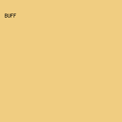 f0cd81 - Buff color image preview